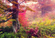 Фототапет Цветната гора