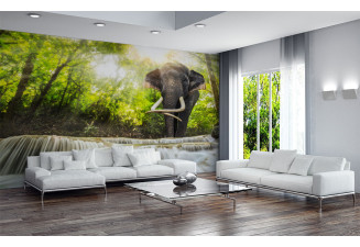 Фототапет Слон в гората