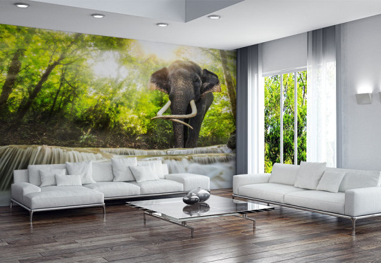 Фототапет Слон в гората