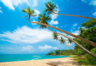 Фототапет Плажовете на Шри Ланка