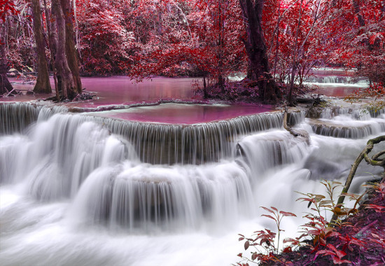 Фототапет Розовият водопад