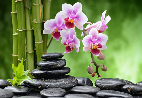 Фототапет Фън шуй камъни и орхидея