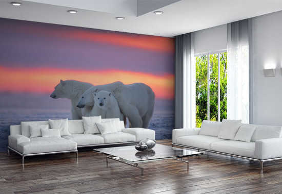 Фототапет Бели мечки
