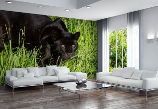 Фототапет Черна пантера