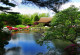 Фототапет Красива японска градина