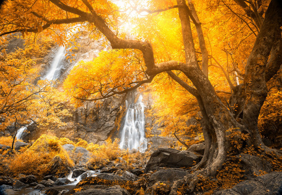 Фототапет Есен край водопада