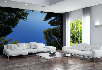 Фототапет Дървета и небе