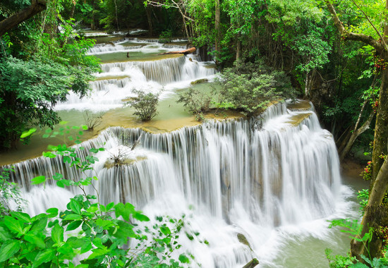 Фототапет Водопад в джунглата