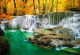 Фототапет Водопад в гората
