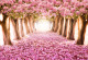 Фототапет Дървета с розови цветове