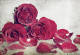 Фототапет Ретро червени рози