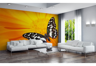 Фототапет  Жълто цвете и пеперуда