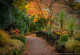 Фототапет Есенна градина
