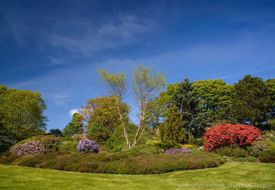 Фототапет Английска градина