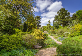 Фототапет Пътека през градината