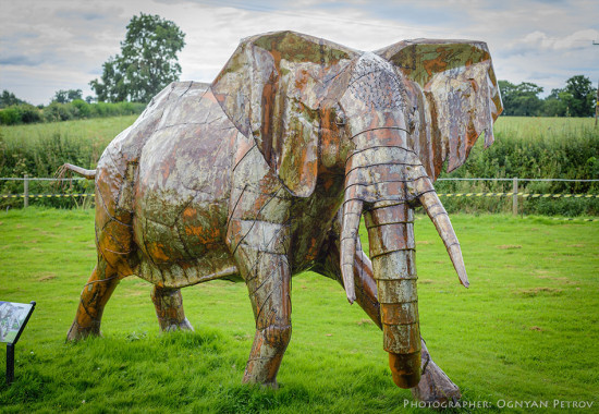 Фототапет Скулптура слон