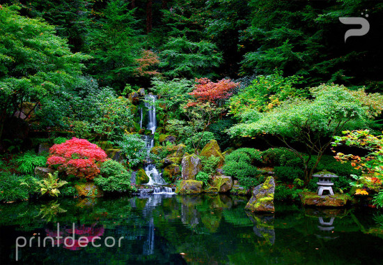 Японска градина с водопад