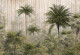 Винтидж панорама Тропици 2