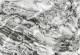Класическа текстура на пеизажен мрамор в бяло и черно