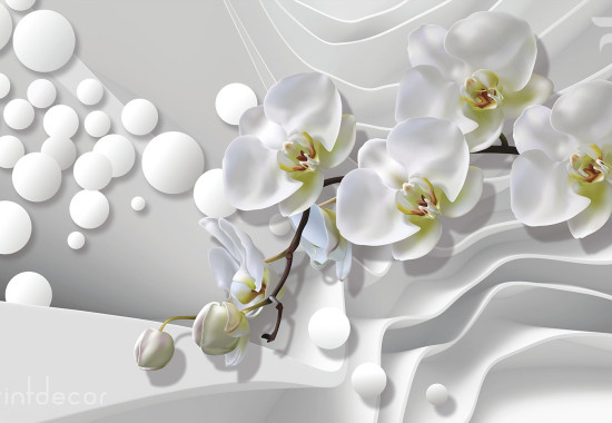 Абстракция Бели орхидеи 