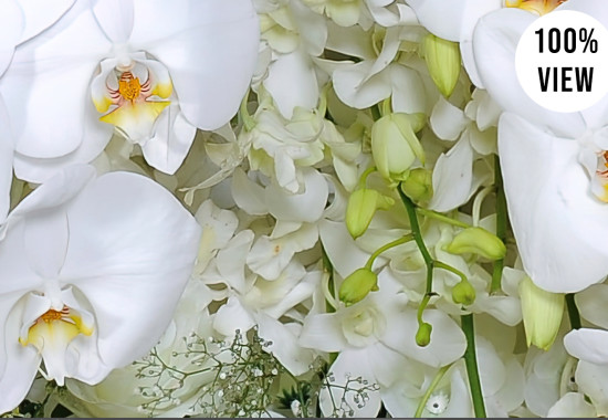 Стена от бели рози и орхидеи