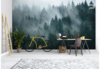 Мъгла над гората