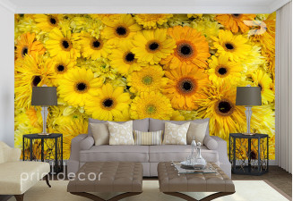Стена от жълти цветя