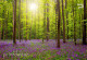 Фототапет Пролетна Гора и цветя