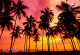 Залез над палмите
