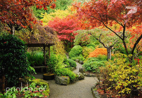Фототапет Японска градина
