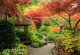 Фототапет Японска градина